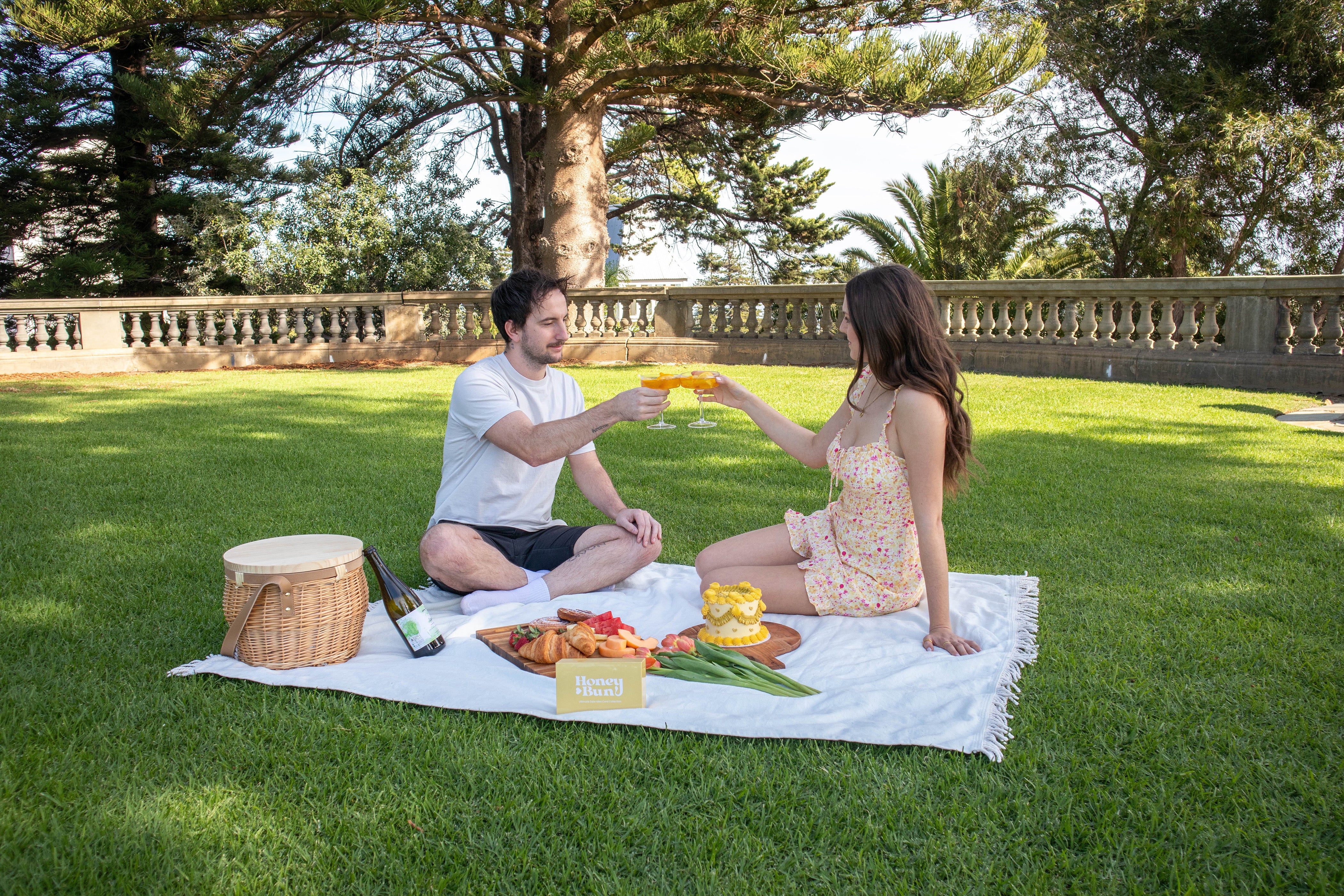 Aesthetic couple going on a romantic picnic, cheers with glasses, with picnic basket and charcuterie board and vintage cake, cute date idea for couples, showing the ultimate date idea card collection box, having a picnic in lush scenery on green grass with trees in the background